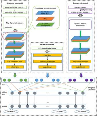 SDN2GO: An Integrated Deep Learning Model for Protein Function Prediction